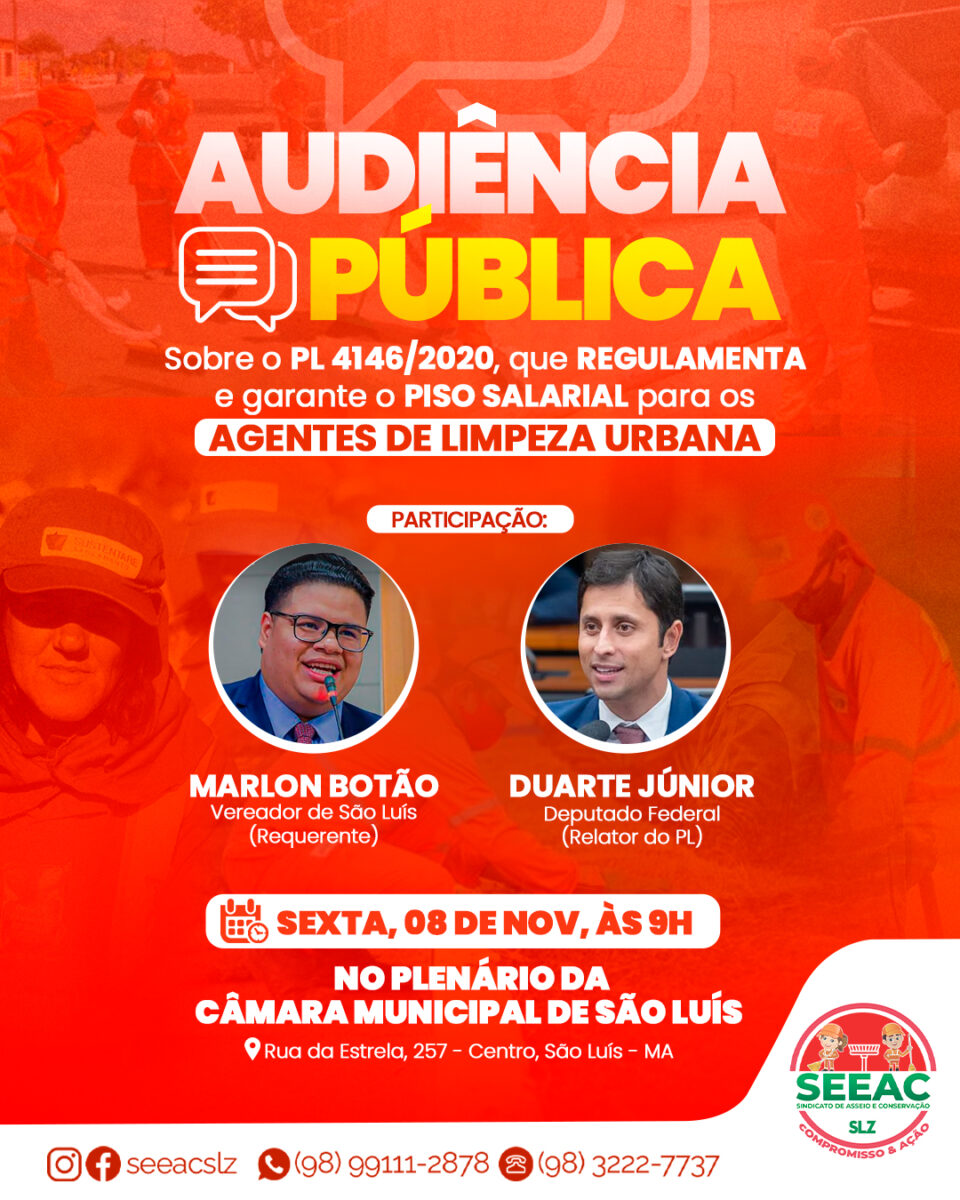 Audiencia Publica Seeac2